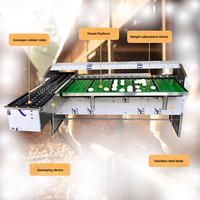 Trieuse d'œufs automatique à convoyeur à rouleaux en acier inoxydable, classificateur d'œufs multi-gamme pour élevages avicoles