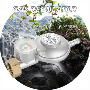 Regulador de <span class=keywords><strong>gas</strong></span> de baja presión para acampar en casa CMPRV con manómetro para aleación de zinc propano Garantía de 5 años Uso portátil - Product Image 3