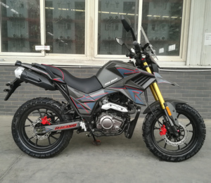 FUEGO <strong>TEKKEN</strong> 250 Cheap for Sale <strong>250cc</strong> All Terrain <strong>Motorcycle</strong> 11190161 - Product Image 4