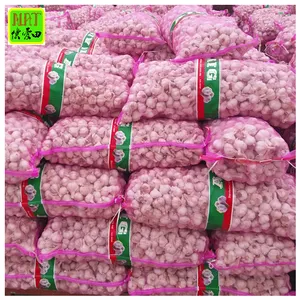 Hot Sale 5.5cm China Non-peeled Fresh Pure White Garlic In 20kg Mesh Bag For Wholesale With GLOBAL GAP 2023 New Organic Garlic