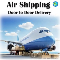 Délai de livraison rapide, expédition aérienne vers l'UE, Allemagne, agent transitaire de fret depuis la Chine, livraison porte à porte, fret express, DHL, FedEx