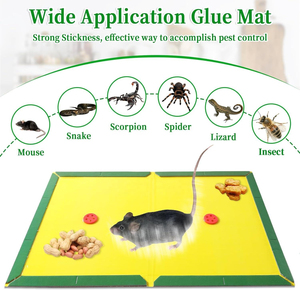 Piège à colle super adhésif pour souris et rongeurs - Product Image 3