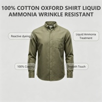 Chemise Oxford pour homme 100% coton, luxe discret, logo personnalisé, boutonnée, lissée à l'ammoniaque liquide, résistante aux plis