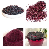 Groothandel Bulk Gedroogde Blauwe Bessen, Gehele & Gesneden Fruit Snack voor Thee Mengsel Gezonde Gedroogde Bessen