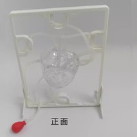 Mannequin de formation médicale Yulin pour la structure cardiaque, modèle du système de circulation sanguine cardiaque aux proportions réelles, certifié CE/ISO