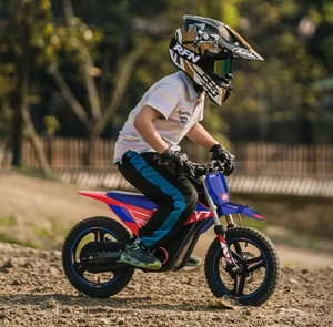 Motocross <span class=keywords><strong>électrique</strong></span> <span class=keywords><strong>Apollo</strong></span> RFN Warrior <span class=keywords><strong>Moto</strong></span> <span class=keywords><strong>électrique</strong></span> tout-terrain pour enfants SX-E150 SX-E350 SX-E500 Vélo <span class=keywords><strong>électrique</strong></span> pour enfants - Product Image 3