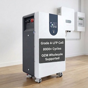 Batería Doméstica EXLIPORC de 16 kWh LiFePO4, 51.2V 324Ah, Celdas de Grado A, 8000 Ciclos, Almacenamiento de Energía Solar al por Mayor, Compatible con OEM y ODM - Product Image 1
