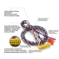 Faisceau de câbles torsadés personnalisés avec fil de drainage, connecteur pas de 2,54 mm, assemblage de câbles de signal haute vitesse, faisceau de câblage OEM