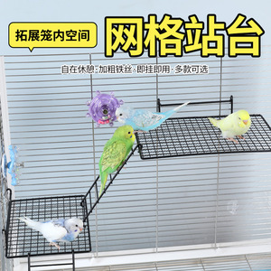 New Parrot Trạm Mạng Nền Tảng Tương Tác Phần Còn lại Trạm Giá Nhảy Nền Tảng Thang Leo Núi Đồ Chơi Thép Không Gỉ - Product Image 2