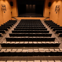 Chaise d'auditorium compacte JY-302 avec tablette d'écriture pliable et structure métallique pour amphithéâtre, école et salle de conférence