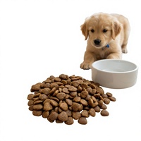 Aliments secs pour chiens sans céréales en gros sous marque privée, croquettes saines, OEM ODM, sacs d'emballage personnalisés, fabricant et fournisseur
