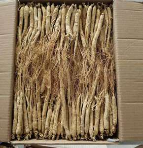 1000 г, оптовая продажа, корень белого женьшеня Changbai Mountain, для трав - Product Image 5