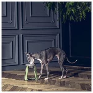 Durable Eco-Friendly <b>Ceramic</b> Cat <b>Dog</b> Bowl with Elevated Accessory Stand Trending Wholesale Pet Product for Water Food Supply - Product Image 1