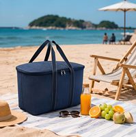 Sac isotherme de pique-nique bleu anti-fuite pour le camping et les activités de plein air, vente en gros