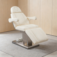 Coussin chauffant multifonction blanc, lit de beauté électrique pour massage et soin du cuir chevelu
