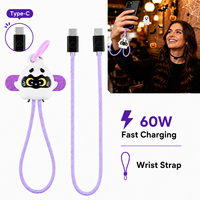 Câble de charge rapide 60W USB-C vers USB-C universel et portable pour voyage, motif Sorcière Citrouille, idéal comme cadeau d'Halloween