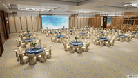 Tapis en laine de Nouvelle-Zélande doux confortable et ignifuge résistant aux taches 5 étoiles hôtel salle de banquet salon tapis mur à mur