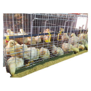 Système de production d'œufs de poulets de type H moderne, cage <span class=keywords><strong>à</strong></span> poulets en batterie, prêt <span class=keywords><strong>à</strong></span> être expédié, cage <span class=keywords><strong>à</strong></span> batterie en parfait état pour poules pondeuses - Product Image 1