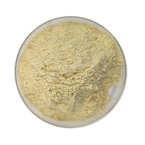 BYH prezzo sconto alta nutrizione latte cammello integratore latte cammello in polvere - Product Image 2