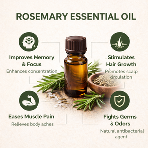 Aceite de Romero Puro y Natural, Aceite Esencial Herbal para el Crecimiento del Cabello, Cuidado de la Piel, Aromaterapia, Cuidado Refrescante, Suministro al por Mayor - Product Image 3