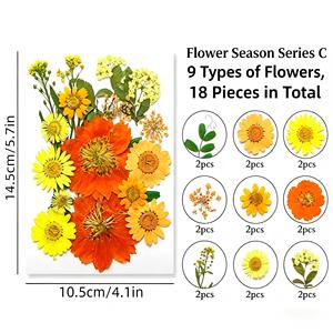 ชุดดอกไม้และใบไม้แห้งสีแดงธรรมชาติสำหรับงาน DIY เรซิ่น ทำเครื่องประดับ ตกแต่งบ้าน งานแต่งงาน - Product Image 6