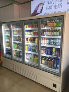 Lemari Pameran Tampilan Freezer Tegak Pintu Kaca Komersial