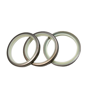 Joint torique squelette en caoutchouc NBR FKM FPM pour arbre à cames, marque <span class=keywords><strong>DYN</strong></span>, modèle 44261-61J00, taille SB2 38.1*63.53*7.9 - Product Image 2