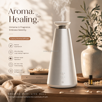 Diffuseur d'arômes de luxe en aluminium à diffusion d'air froid, sans eau, pour huiles essentielles, à poser sur comptoir, contrôlé par application USB et télécommande