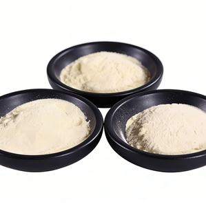 Poudre de <span class=keywords><strong>gelée</strong></span> <span class=keywords><strong>royale</strong></span> lyophilisée antioxydante de <span class=keywords><strong>qualité</strong></span> supérieure 1% 6% 10 HDA 99% pure de <span class=keywords><strong>qualité</strong></span> alimentaire casher halal biologique Nouveauté 1kg MOQ - Product Image 2