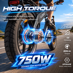 Vélo cargo électrique D32 48V32Ah, autonomie 128 km, pneus larges de 20 pouces, frein à disque, cadre en aluminium - Product Image 3