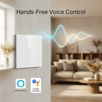Mvava CE RoHS 1/2/3/4 Gang 600W Europe Zigbee Tuya Alexa Télécommande Lumière Interrupteur Mural Tactile Connecté Wi-Fi Maison Intelligente