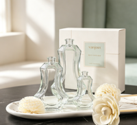 Bouteille vide personnalisable pour huiles essentielles, diffuseur en verre, bouteille vide transparente avec bouchon pour diffuseur de parfum d'ambiance à bâtonnets