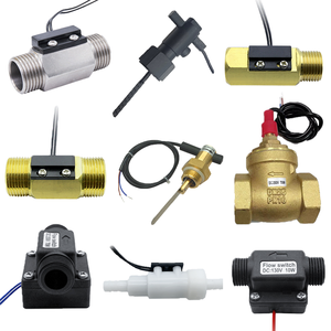 Interruttore di controllo del flusso d'acqua tipo pagaia da 1 pollice 24V per pompa di calore per piscina in plastica ottone sensore di flusso termico - Product Image 1