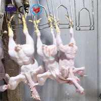 Chaîne de production compacte d'abattage de volailles Haoze 300-15000BPH |   Poulet Canard |   Halal |   Clé en main |   Épluchage des plumes |   Roulement de moteur, boîte de vitesses