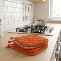 Potholder de cuisine matelassé résistant à la chaleur, 100% coton, écologique, durable, pour la cuisson, la pâtisserie, l'utilisation au micro-ondes, tapis résistant à la chaleur