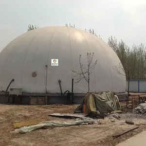 2023新中国优质沼气厂双膜气柜
