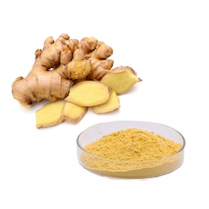 Extrait de gingembre soluble dans l'eau, 1% de gingérol en poudre, Zingiber Officinale <span class=keywords><strong>Roscoe</strong></span>, qualité pharmaceutique, prix usine - Product Image 1