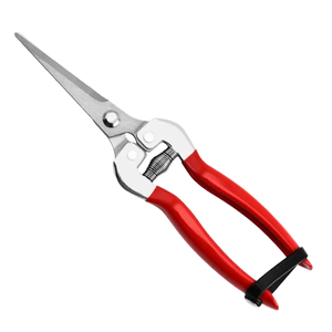 Thin Stainless Steel Fruit <b>Cutter</b> Long Straight Garden Shears Scissors Plastic Precision <b>Edge</b> for Grape Harvesting Bud Trimming - Product Image 1