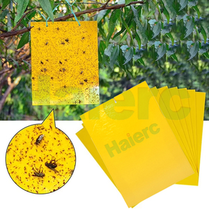 Piège à insectes collant jaune <span class=keywords><strong>professionnel</strong></span> pour le contrôle des moucherons, des pucerons et des mouches des fruits dans les serres et les vergers - Product Image 3