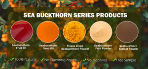 Us/Eu Magazijn Bulkfabriek <span class=keywords><strong>Extract</strong></span> Gevriesdroogde Duindoorn/<span class=keywords><strong>Seabuckthorn</strong></span> Fruitpoeder - Product Image 2