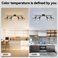 Spot LED GU10 Orientable Commercial Monté en Surface pour Couloir Galerie Magasin