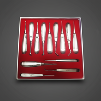 Ensemble de 13 élévateurs dentaires en acier inoxydable pour le nettoyage et le remplissage des dents, dispositif médical certifié CE par UMG