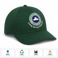 Op maat gemaakte merklogo blad-borduurwerk Oxford stippen baseballcap bordeauxrood katoen unisex pet hoge kwaliteit 6 panelen gebogen klep