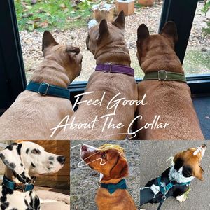 Personalizado con hebilla de metal con Nombre de mascota grabado, collar de perro verde azulado Veet y juego de correa con campana y lazo, envío gratis - Product Image 6