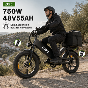 Bicicleta Eléctrica de Carga D55, 48V55Ah 750W, E-MTB, Neumático Grueso de 20'', 240km de Autonomía, Bicicleta de Reparto OEM, Doble Suspensión para Caminos con Pendientes - Product Image 1