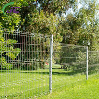 Personnalisé de haute qualité pour la maison et le jardin 3D Panneaux de clôture de sécurité en treillis métallique soudé incurvé de calibre 6 pour ranch/cour