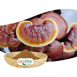 Экстракт гриба Рейши (Ганодерма лусидум) AMULYN, органический, 30%, 40%, <span class=keywords><strong>50%</strong></span> полисахаридов/бета-глюканов, порошок - Product Image 4