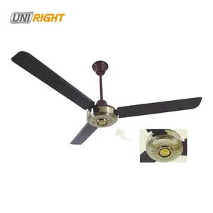 56 "shami Vàng quốc gia đôi bóng mang điện phổ Trần Fan điều khiển từ xa