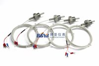 Sonde de température à thermocouple fileté en acier inoxydable IP65 OEM ODM personnalisable PT10/PT00/PT1000 Industriel
