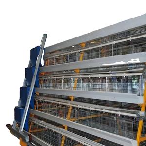 Cage en acier galvanisé antirouille pour pondeuses de type A 1000 Poulets Ferme avicole Système de cage automatique Cages pour poulets <span class=keywords><strong>Poule</strong></span> pondeuse - Product Image 4